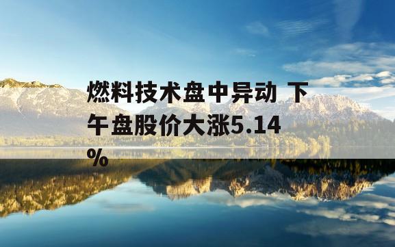 燃料技术盘中异动 下午盘股价大涨5.14%